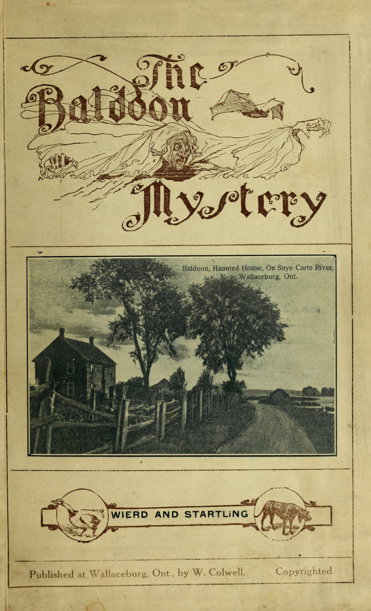 Illustrated cover of the 1910 book The Baldoon Mystery