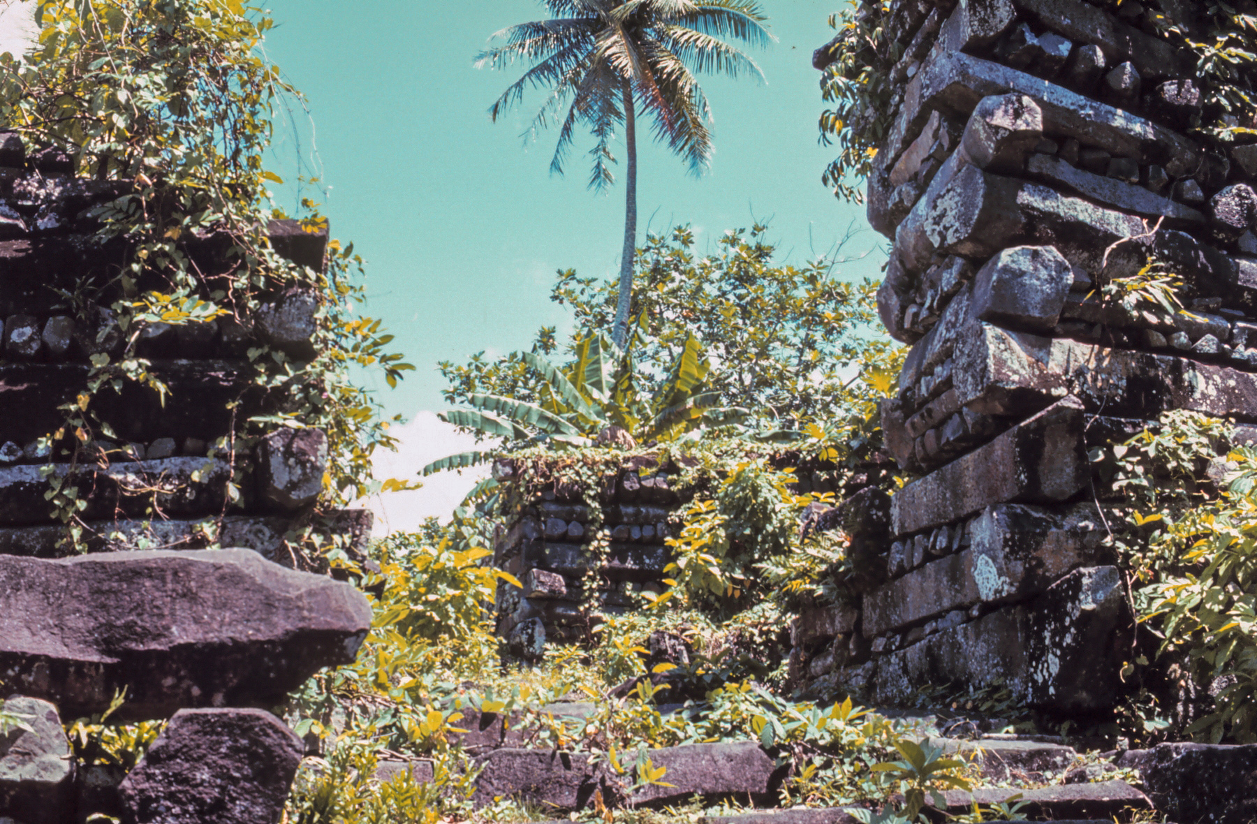 Nan Madol: The Lost City Built on the Sea